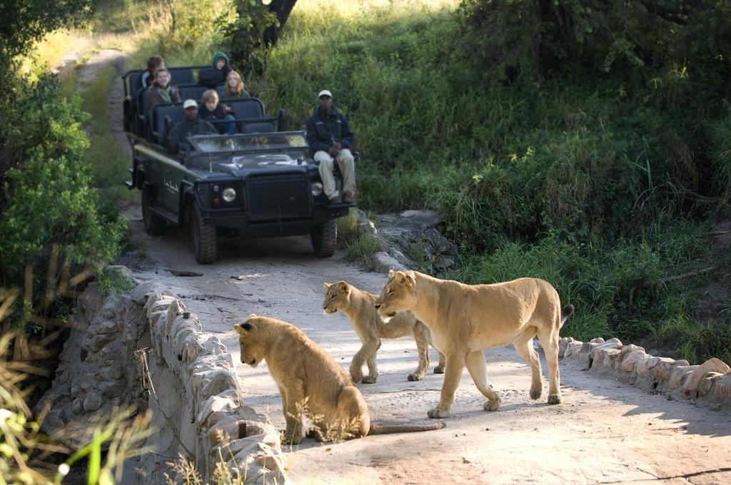 Lion Sands River Lodge 萨比沙禁猎区 外观 照片